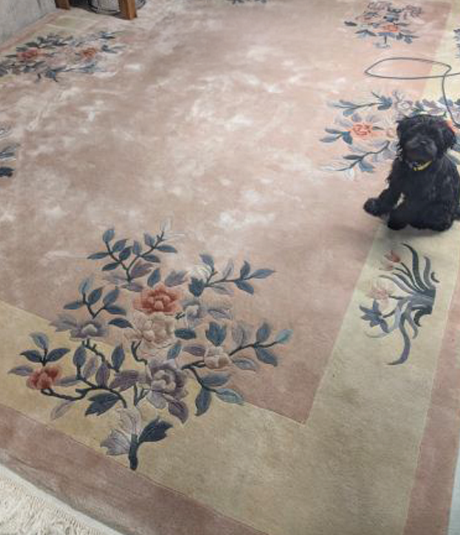 Area rug before cleaning