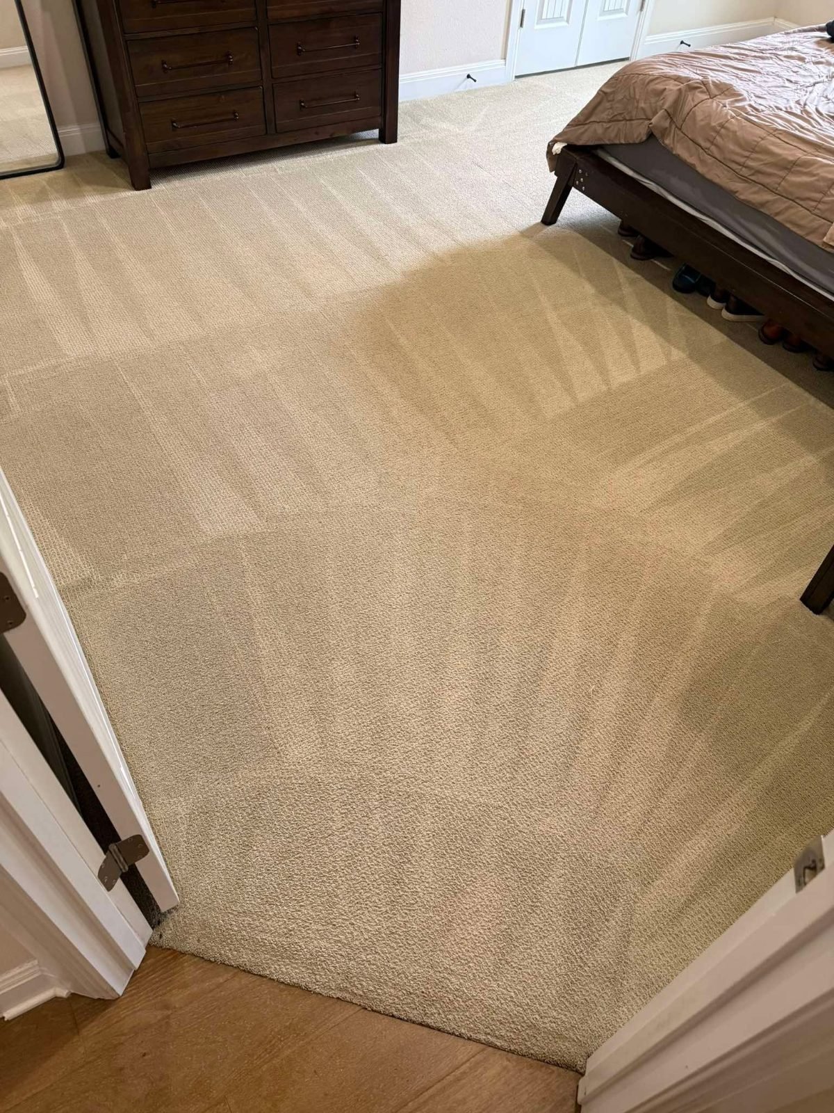 Freshly steam cleaned bedroom carpet in a Winnipeg home by Next Level Clean