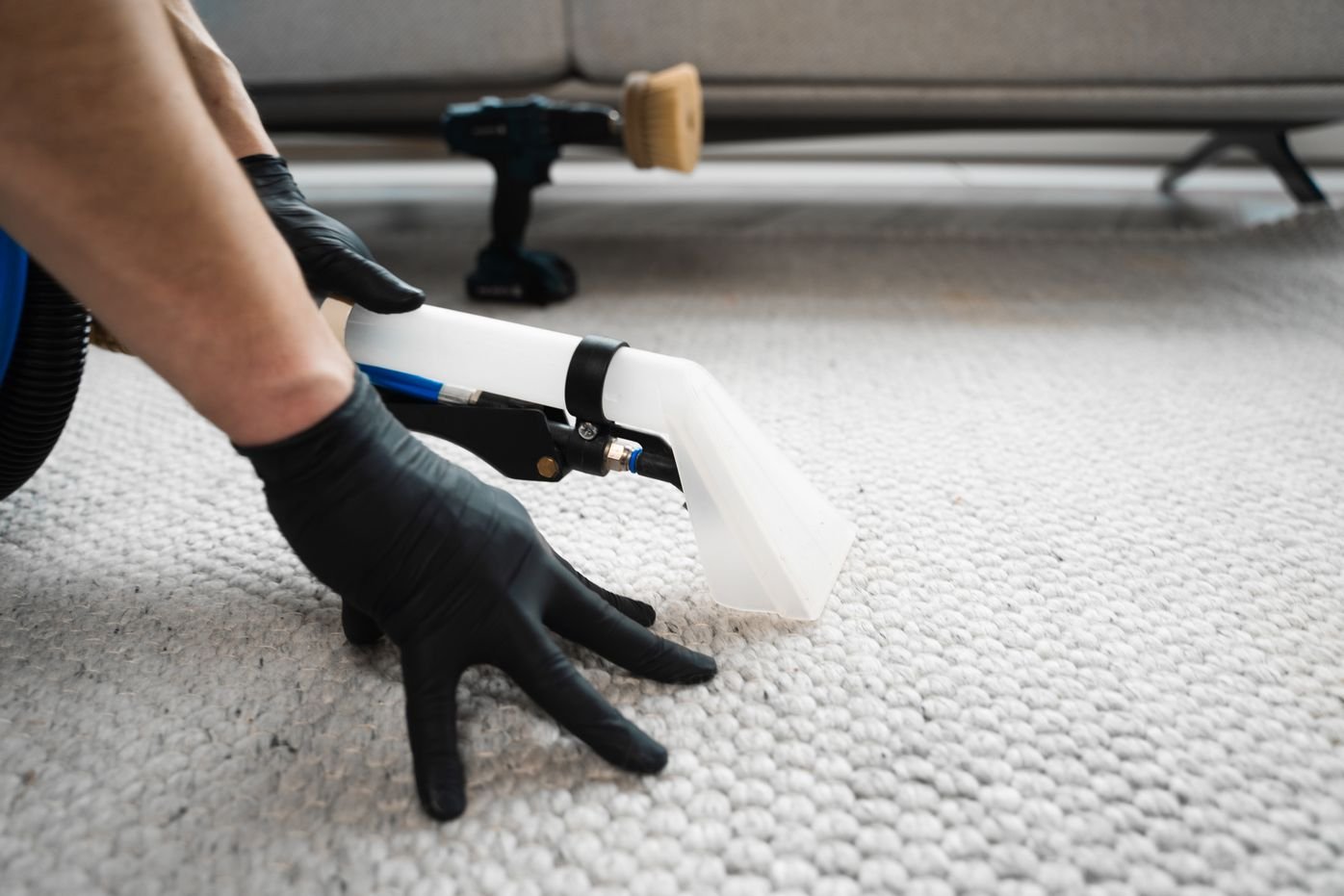 Carpet cleaning with hot water extraction in Winnipeg