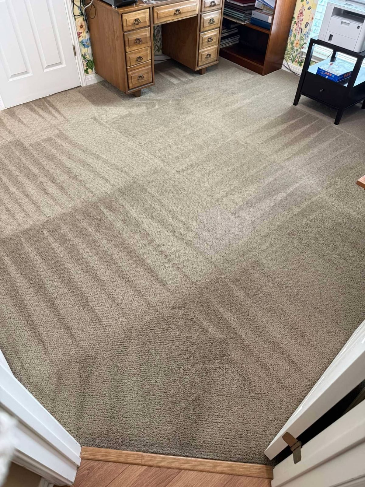 Carpet deep cleaned for move-in / move-out in a Winnipeg home