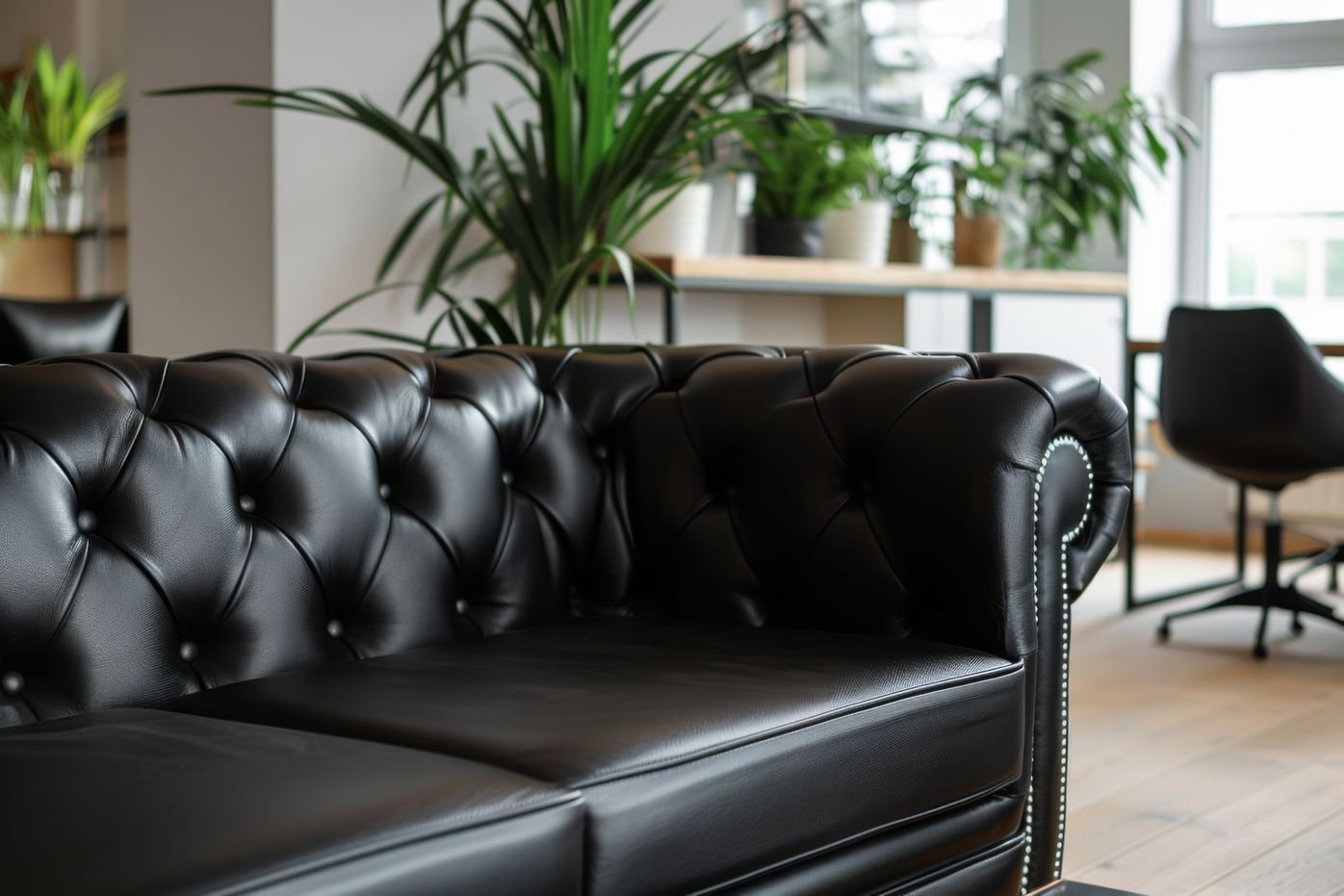 Leather furniture cleaning and conditioning in Winnipeg