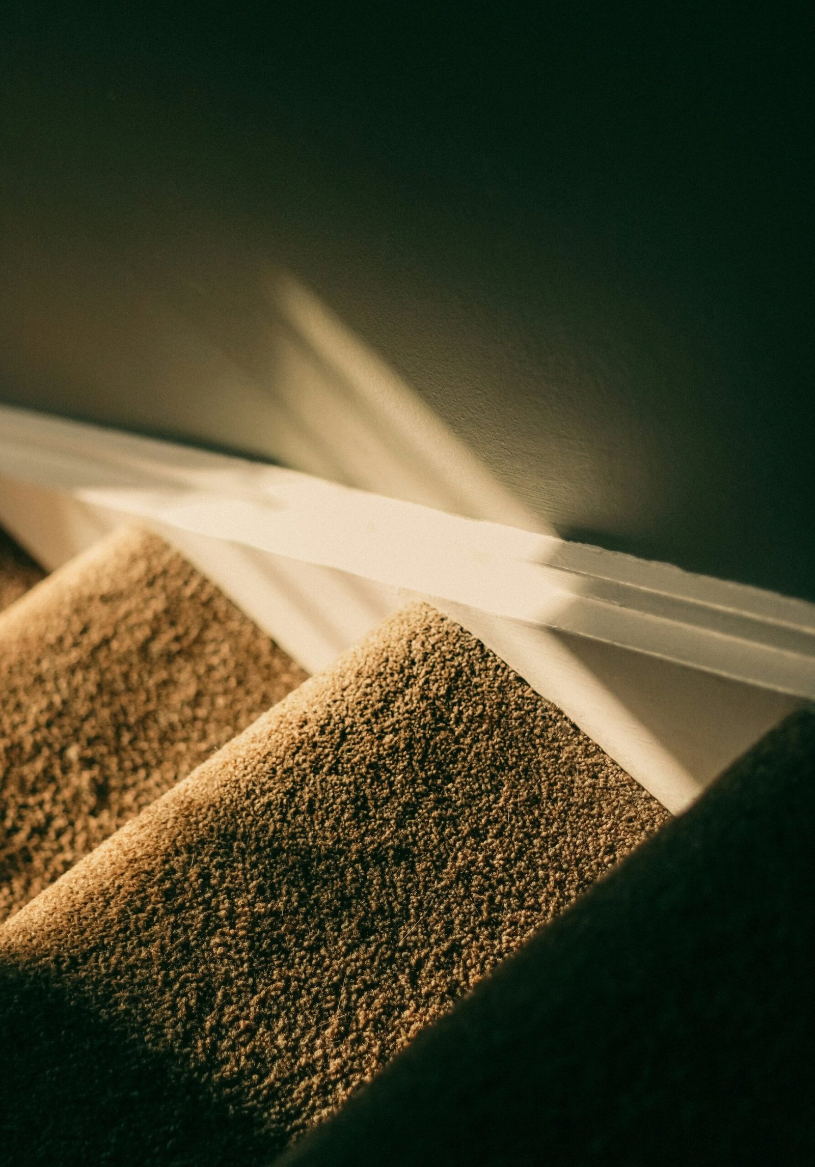 Next Level Clean technician deep cleaning carpet in Winnipeg